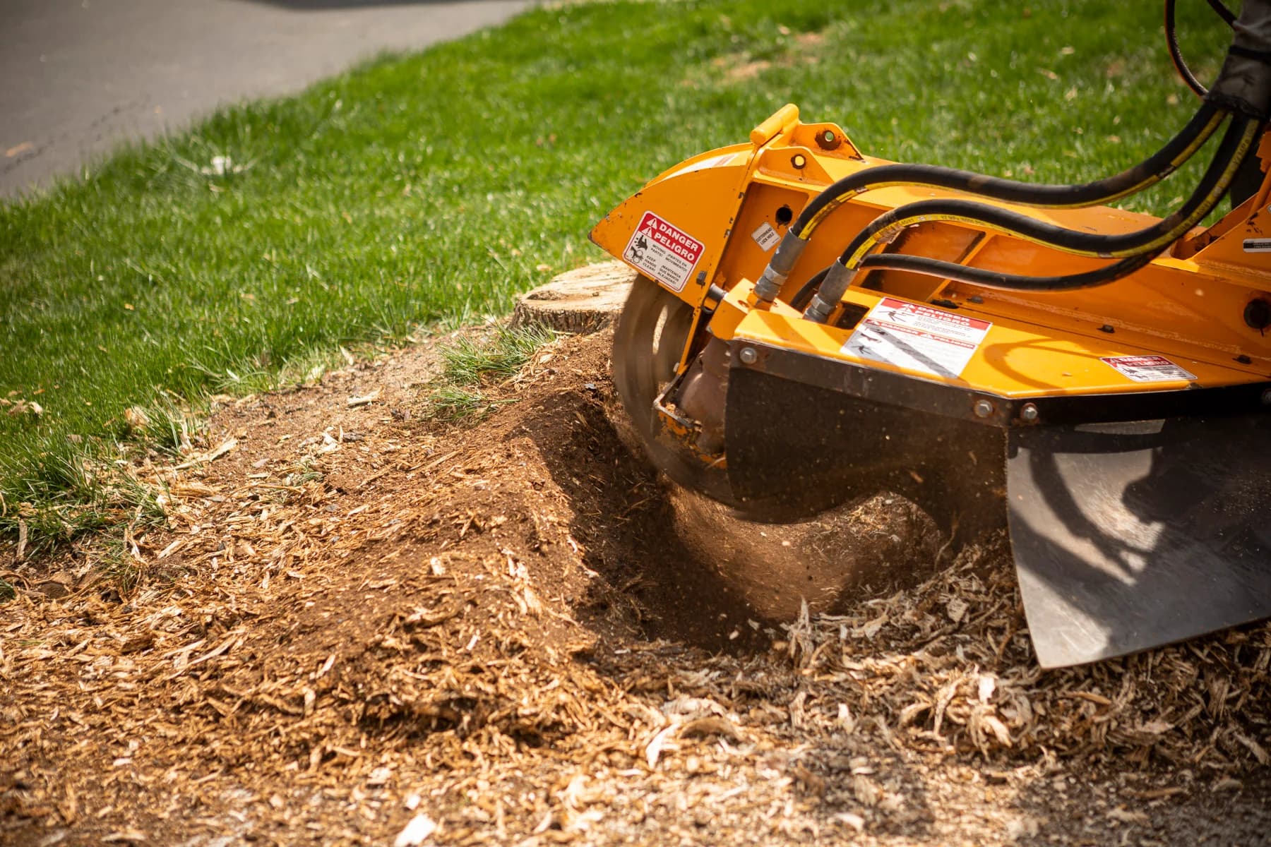 Stump being ground below grade in a residential yard